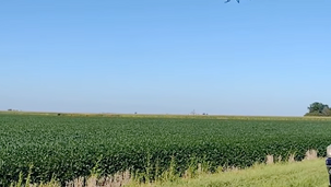 Aerial Drone Spraying