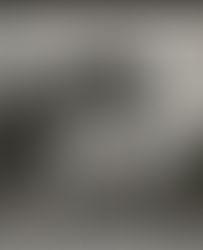 Wayne E Siegert (Class of 1947) - Hall of Fame Inductee