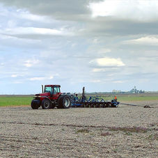 planting.jpeg
