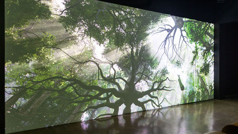 IGNITE Broward, South Florida's Most Exciting Festival of Art and Technology, Returns