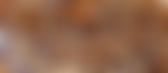 Gourmet Holiday Masterpieces with French Chef Marc