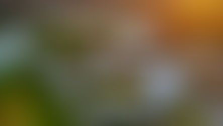 Cognizant Classic returns to Champion Course at PGA National Resort