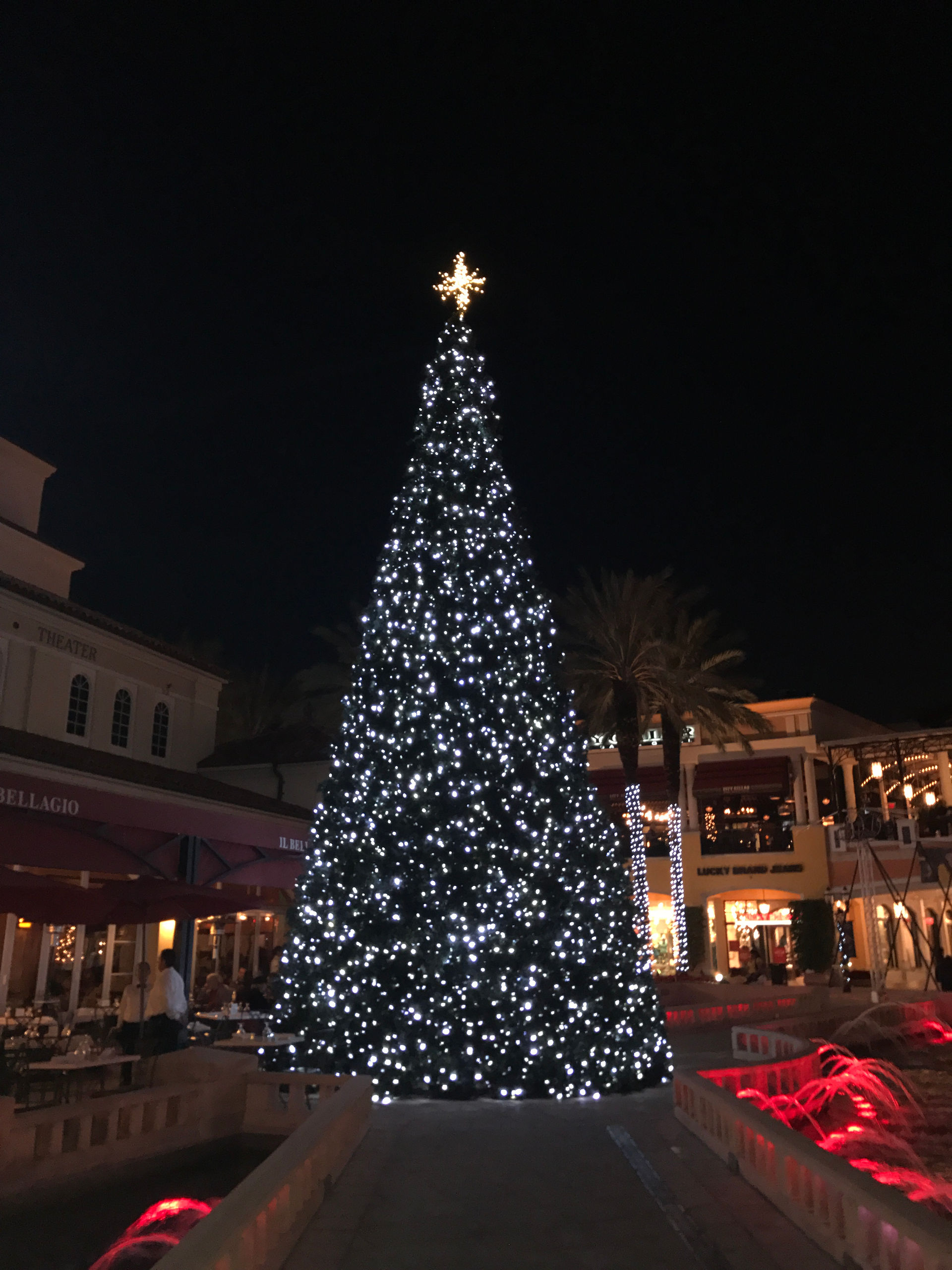 Palmbassadors "Holiday Happy Hour"