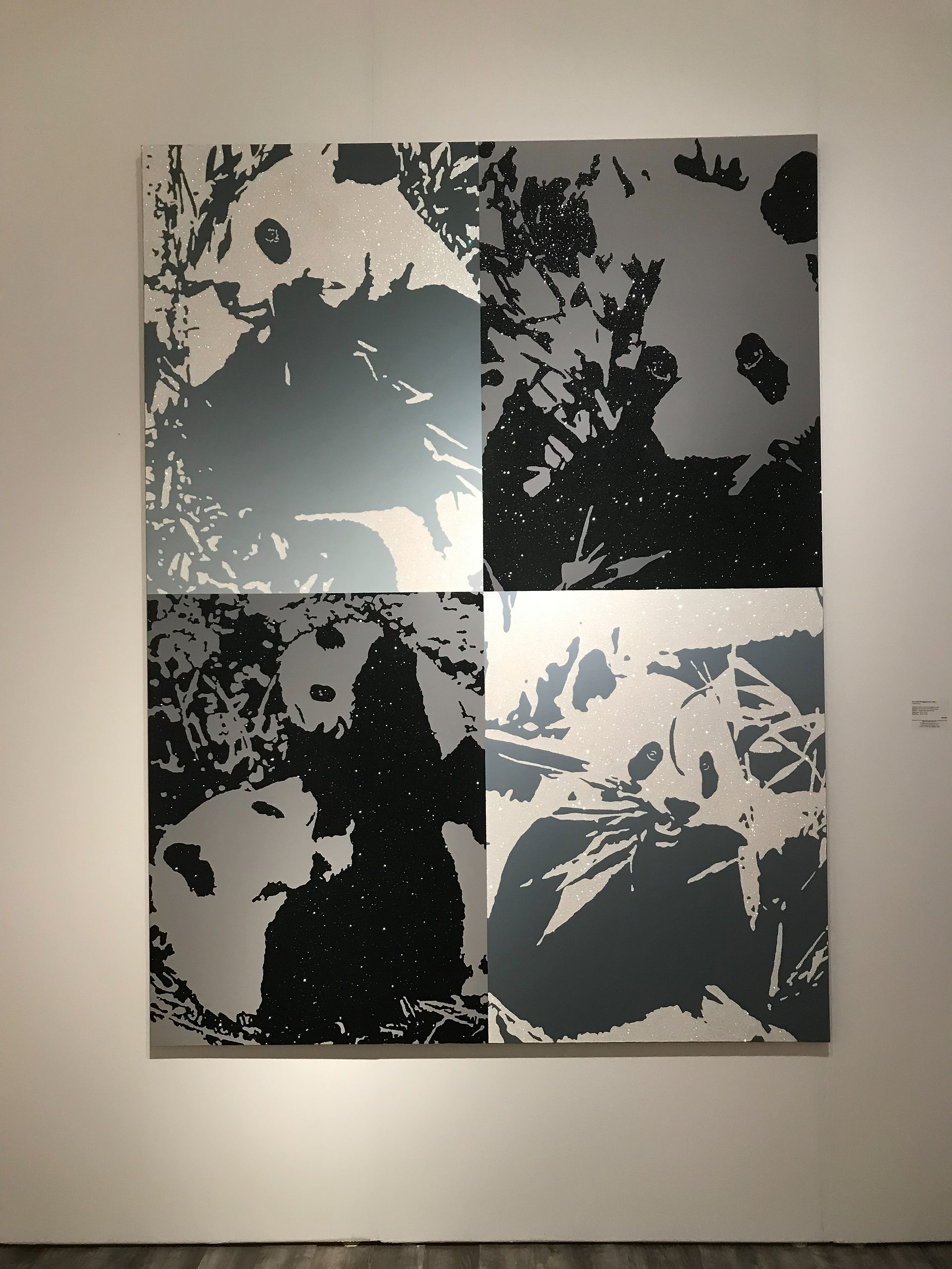 2019 VIP Preview: PBMC+C