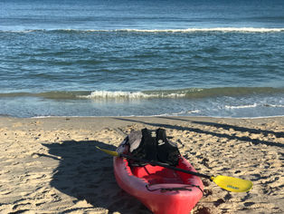 Picture perfect day at the beach ☀️🌊🌴