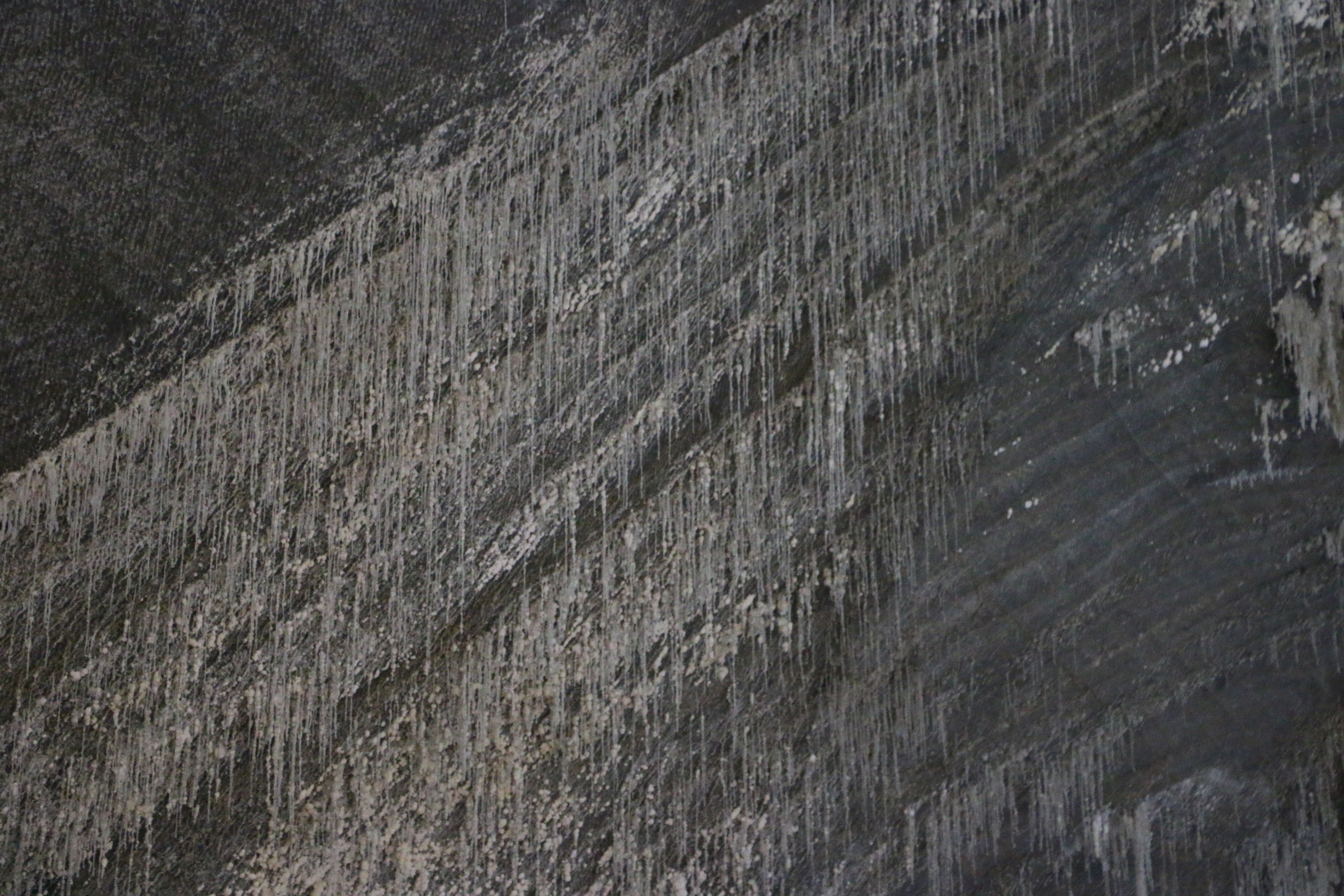 Salina Turda