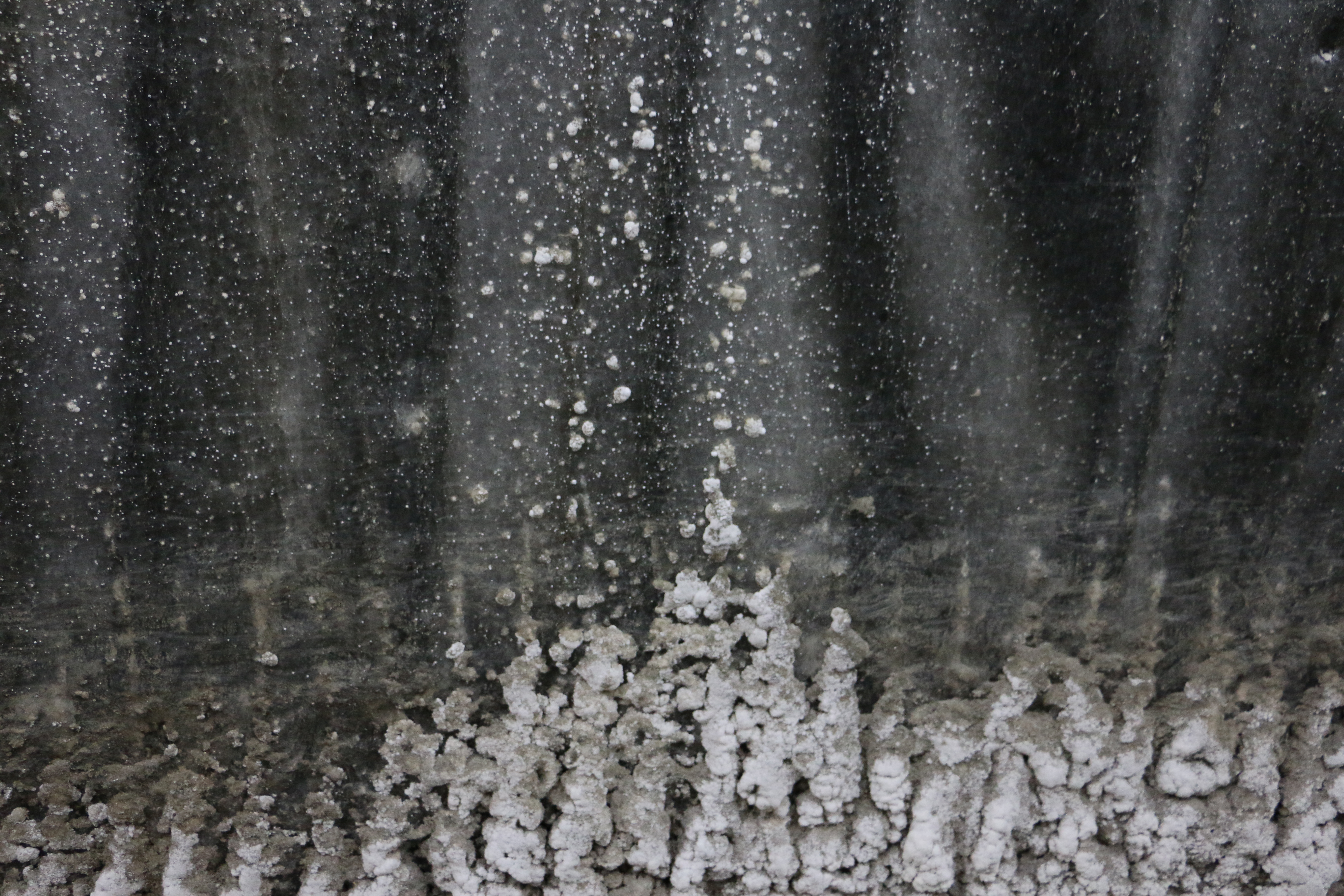Salina Turda