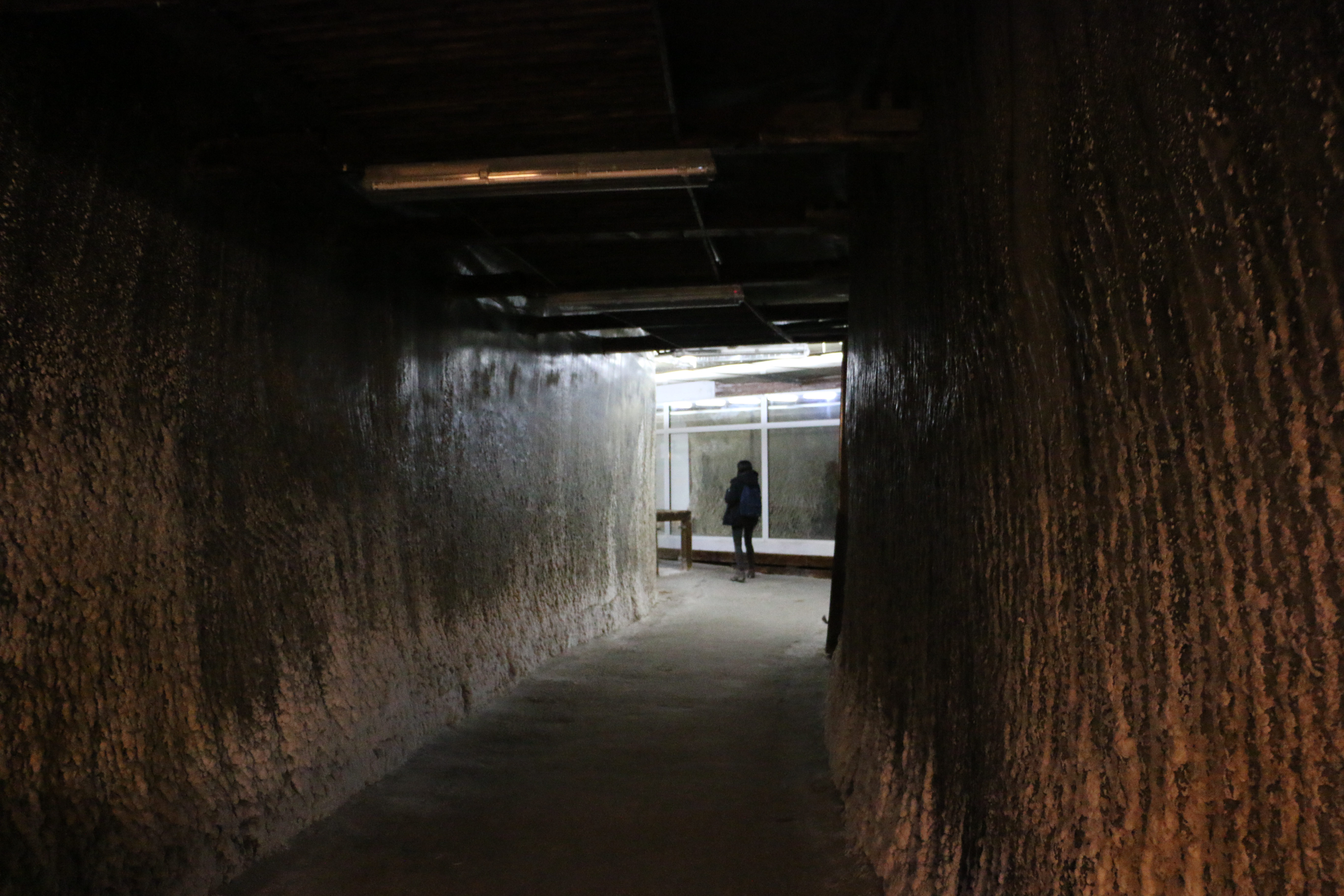 Salina Turda