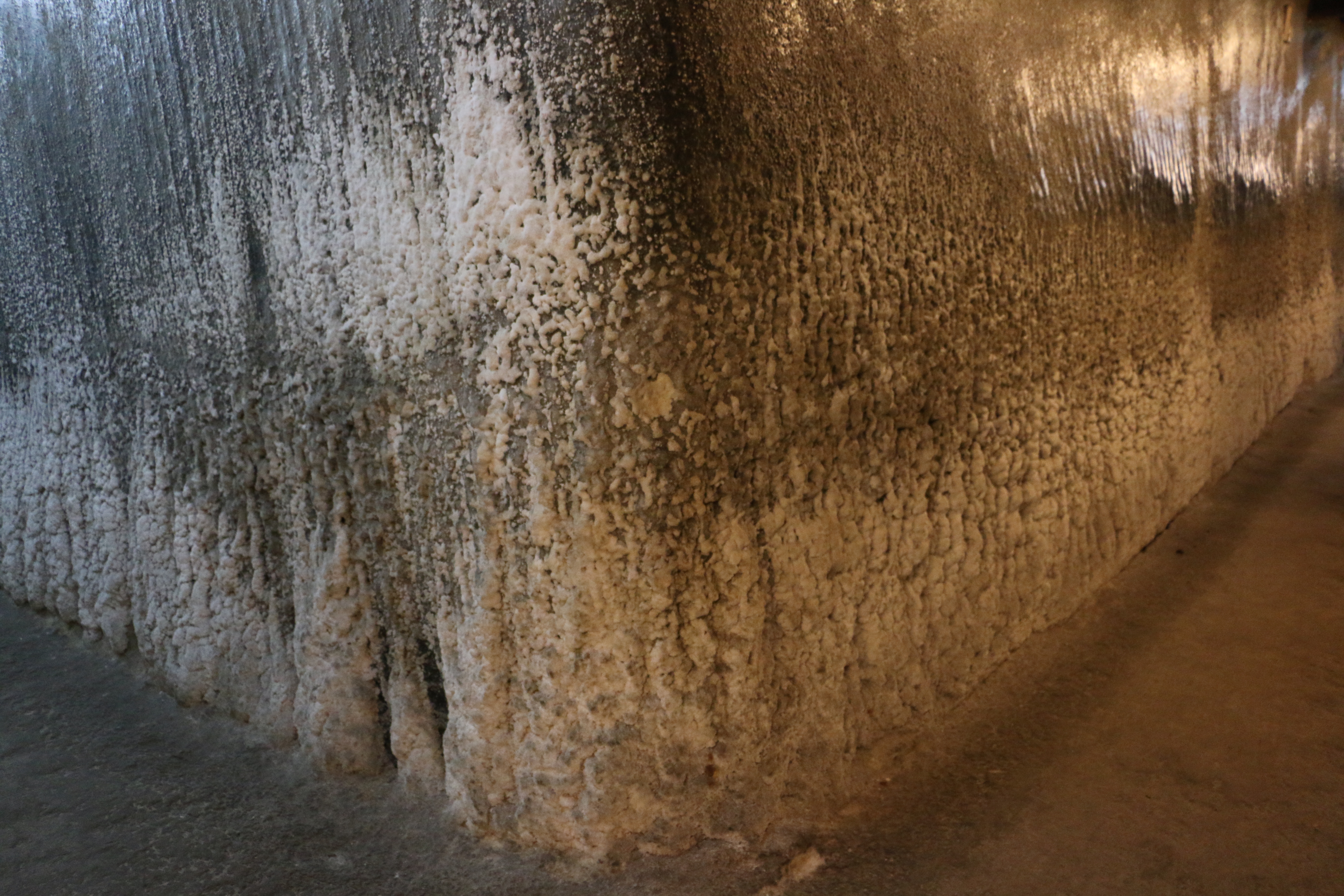 Salina Turda