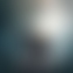 The Quiet Giant with Nowhere Left to Go: Sri Lanka’s Elephants Are Running Out of Room