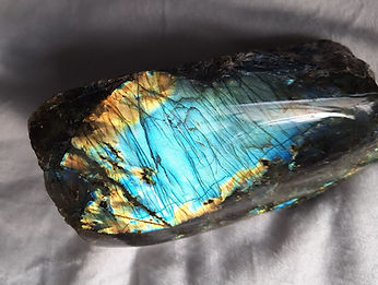 WhatsApp Image 2026-02-17 at 14.32.35 (2).jpeg