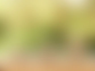 Cosa è il crowdfunding immobiliare? Quali sono ad oggi i modi per investire nell’immobiliare?