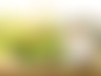 Sarpi e Anama raccontano l’ultimo decennio immobiliare e sono fiduciosi per il prossimo triennio