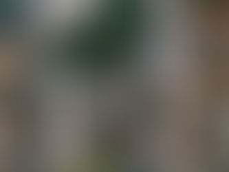 Trento città in testa per la qualità della vita in Italia