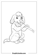 Funny Animal Coloring Pages for FREE