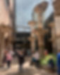 506055971_1138148998353306_5316125828482157066_n.jpg