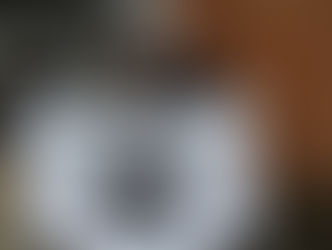 Market/Event of the Year - Wolf & Witch Night Market