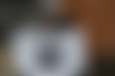 Market/Event of the Year - Wolf & Witch Night Market