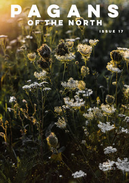 issue 17 cover.jpg