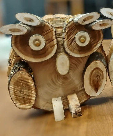 owls_edited.jpg