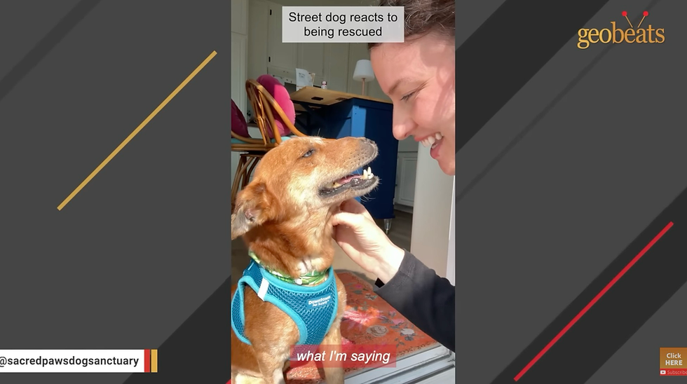 GeoBeats Animals: Spud's Story