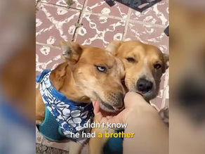 Dudley's Story