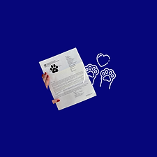 Land Search (1).png