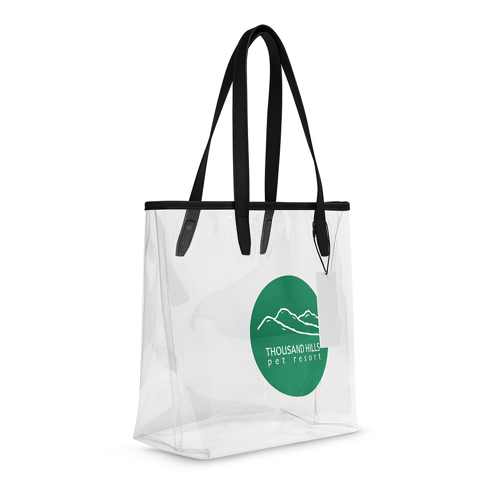 Thumbnail: THPR Clear tote bag