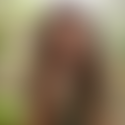 איך להשיג שיתופי פעולה עם מותגים? המדריך ליוצר התוכן המתחיל (והמתקדם)