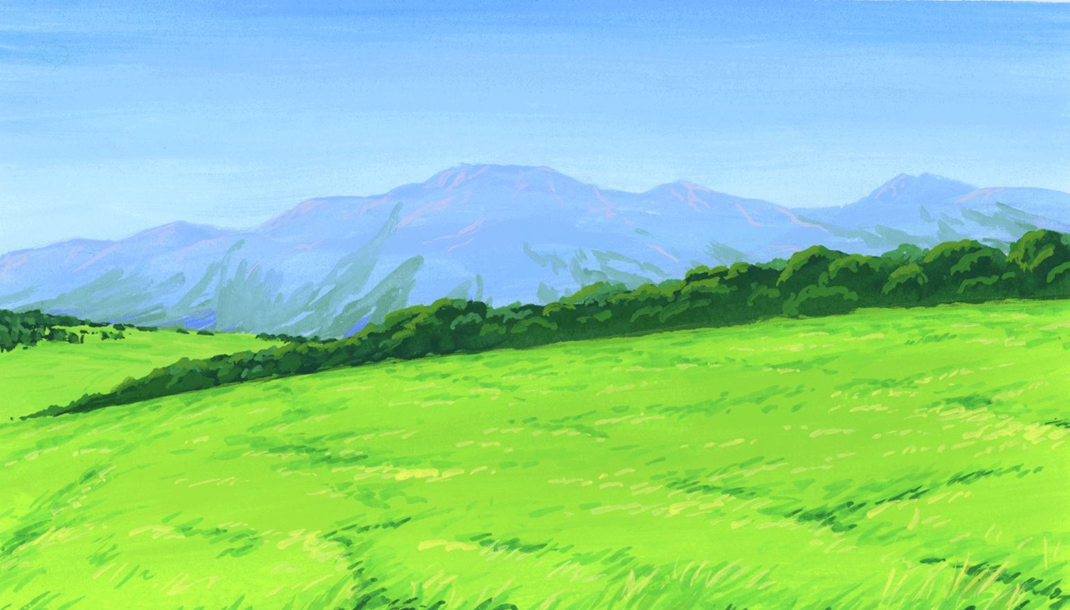 panorama windy field, green grass