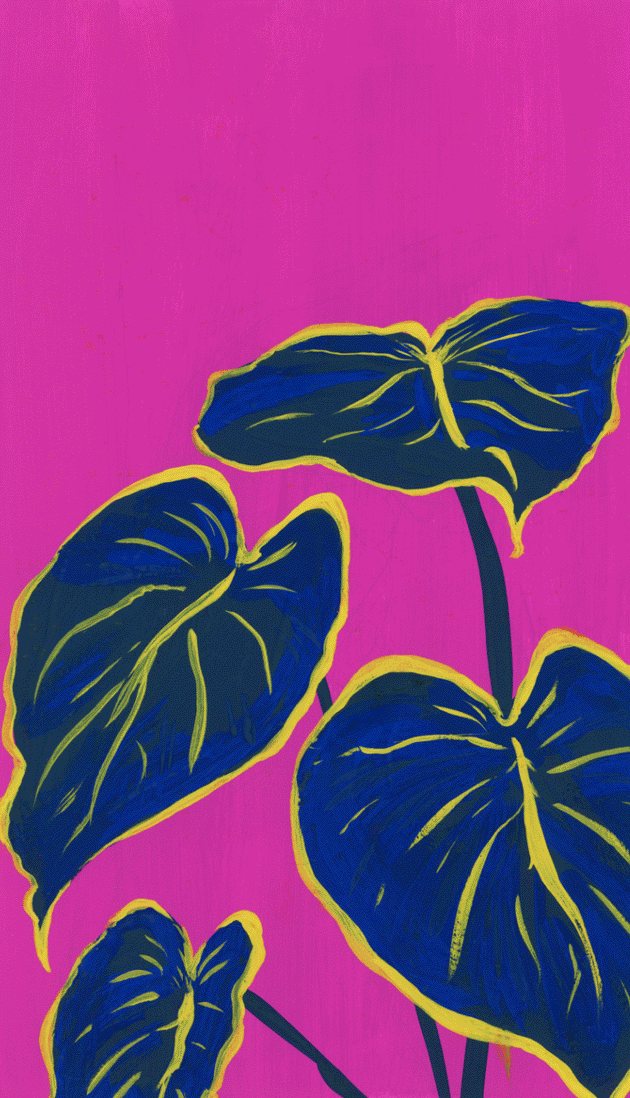 house plants, colorful, sylized