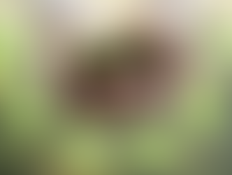 Fachada del Congreso del Estado de Baja California Sur, donde se discute la iniciativa para integrar los recursos naturales a la agenda ambiental, abril 2026.