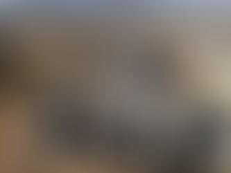 Nuevas viviendas de interés social entregadas en Baja California Sur en 2026, con diseño moderno y áreas verdes integradas.