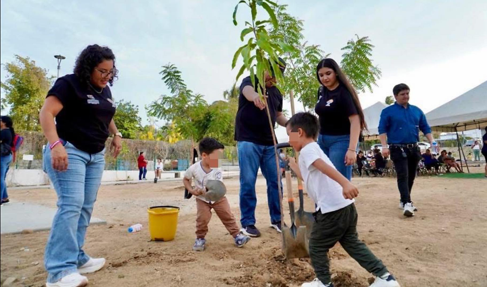 Familias y trabajadores del ayuntamiento plantando arbolitos y regando la tierra en un parque comunitario renovado en la colonia Rosarito, Los Cabos.