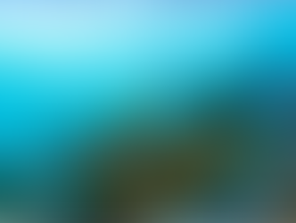 Una ballena jorobada saltando en las aguas azul turquesa del Mar de Cortés con las costas áridas de Baja California Sur al fondo bajo un cielo despejado.