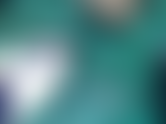 Especialistas de la UABCS y voluntarios realizando un simulacro de rescate de un delfín varado en una playa, utilizando camillas y técnicas de hidratación especializadas.