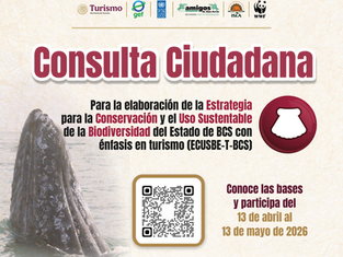 Mapa interactivo de Baja California Sur rodeado de iconos de flora y fauna local, simbolizando el proceso de consulta ciudadana para la protección de la biodiversidad.