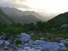 Vista aérea de las cumbres boscosas de la Sierra de la Laguna en Baja California Sur, resaltando su verdor y su importancia como zona protegida.