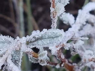 Preventive Cold Alert in Mountain Areas Underscores BCS's Climate Diversity