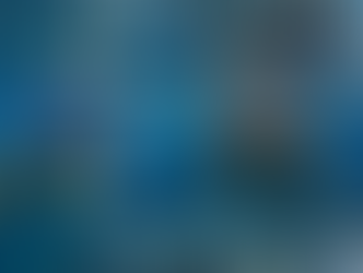 Diver exploring the remains of the Fang Ming shipwreck in La Paz, surrounded by thousands of surgeonfish under crystal clear water, March 2026.