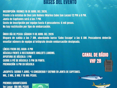 Sport fishing boats lined up in the Cabo San Lucas bay waiting for the starting shot of the Bulnes Tournament, with the Arch in the background, March 2026.