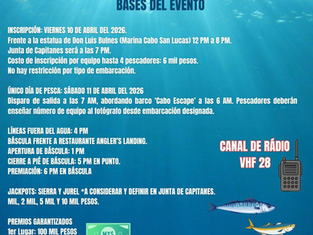 Lanchas de pesca deportiva alineadas en la bahía de Cabo San Lucas esperando el disparo de salida del Torneo Bulnes, con el Arco de fondo, marzo 2026.
