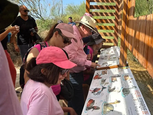 Fotografía de un ave colorida posada en una rama de mesquite en el Ecoparque de La Paz, con senderos naturales de fondo y cielo despejado, marzo 2026.