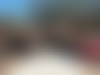 Camioneta cargada con troncos de madera regional asegurada por patrullas de la policía en un camino de terracería cerca de La Paz, Baja California Sur.