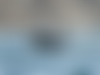 A pod of orcas swimming near the coast in the Sea of Cortez, with a small sighting boat in the distance following safety protocols.