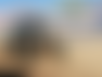 Récord de Adrenalina: Más de 40 mil aficionados vibran con la Copa Presidente Motorsport 2026 en San José del Cabo