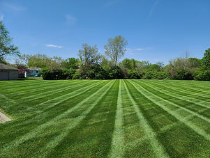 Resized_20210501_143821 (1).jpeg