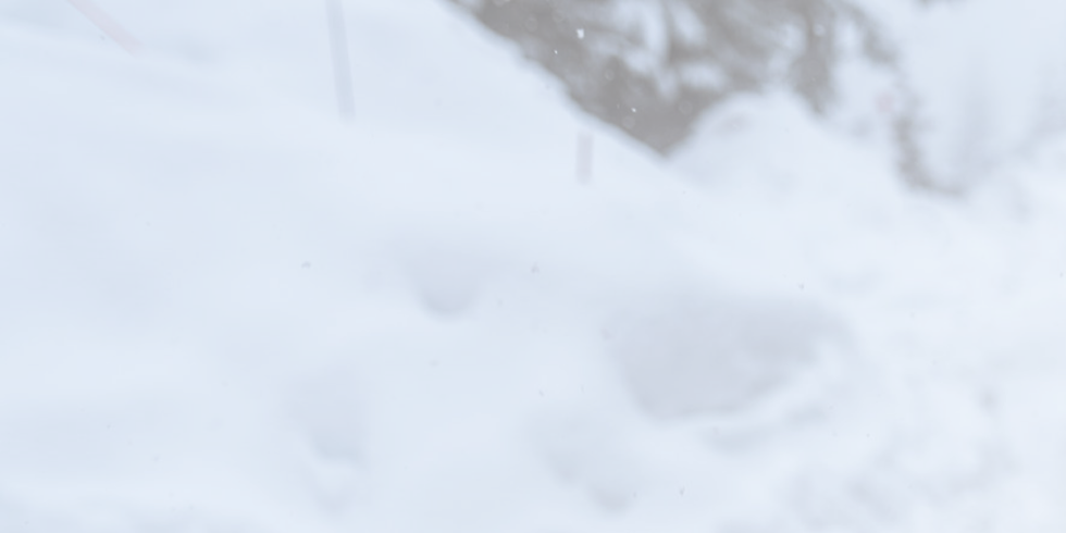 hhww background.png