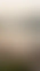 A Parent's Guide to Stress Relief Coaching