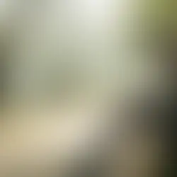 How to Find the Best ADHD Coaching Program for Teens